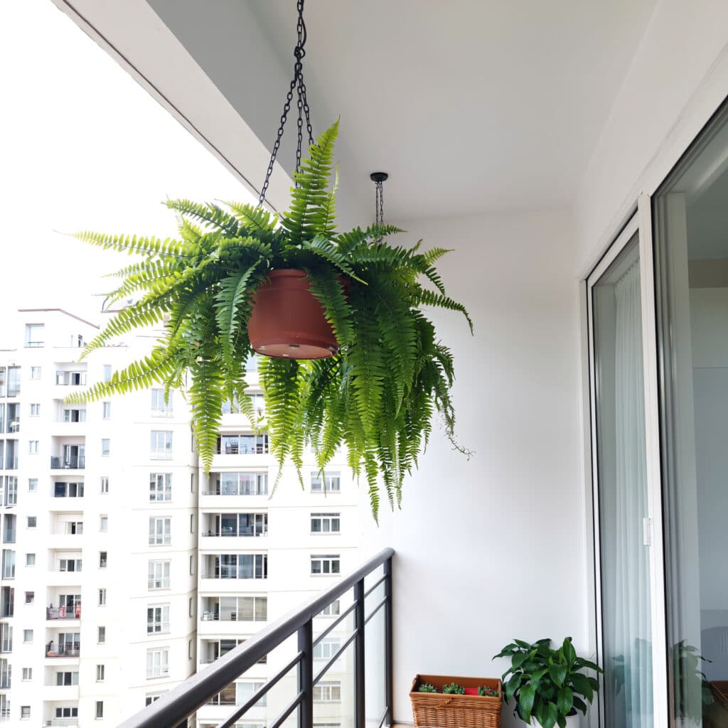 Plantas artificiais suspensas em varanda pequena