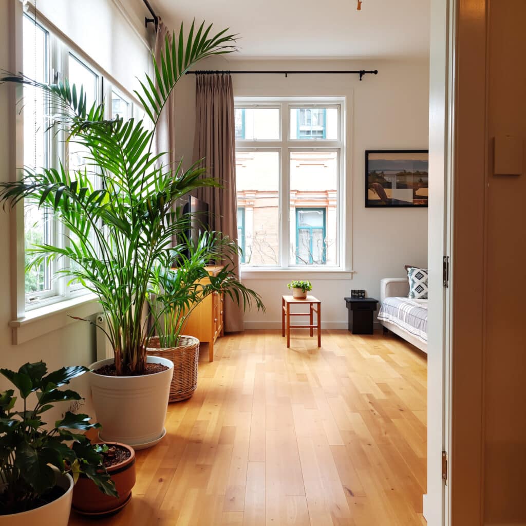 Exagero no uso de plantas artificiais em sala pequena