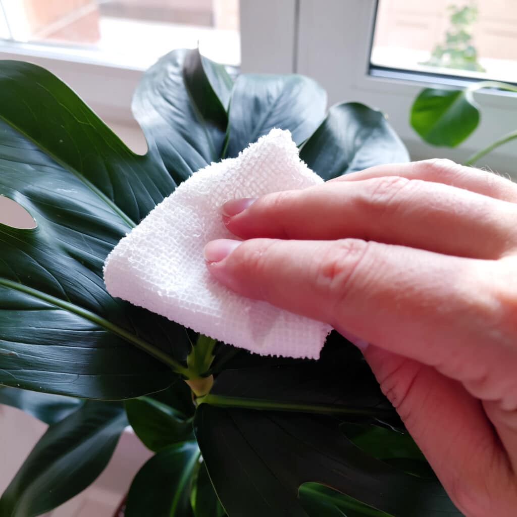 Como limpar plantas artificiais corretamente