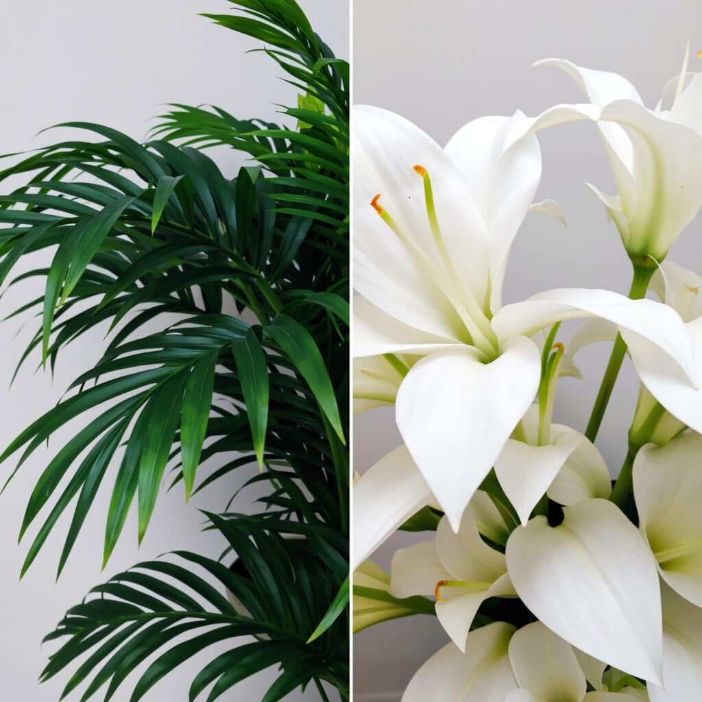 Diferença entre planta artificial barata e realista