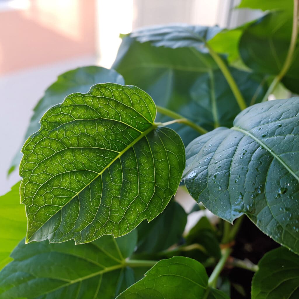 Poeira em planta artificial