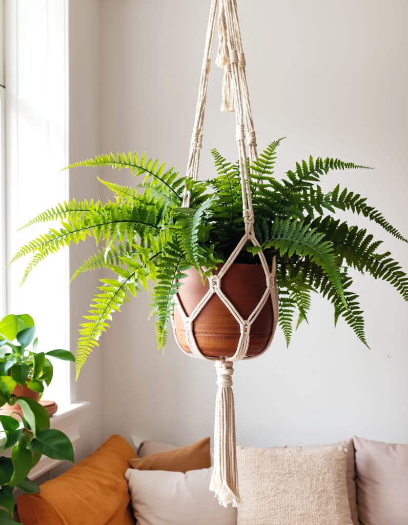 Samambaia Artificial Realista 🌿 – Beleza Natural Sem Manutenção