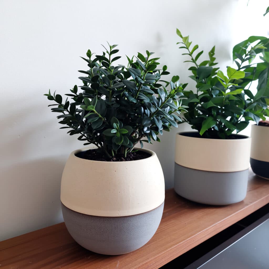 Vasos de cerâmica para plantas artificiais