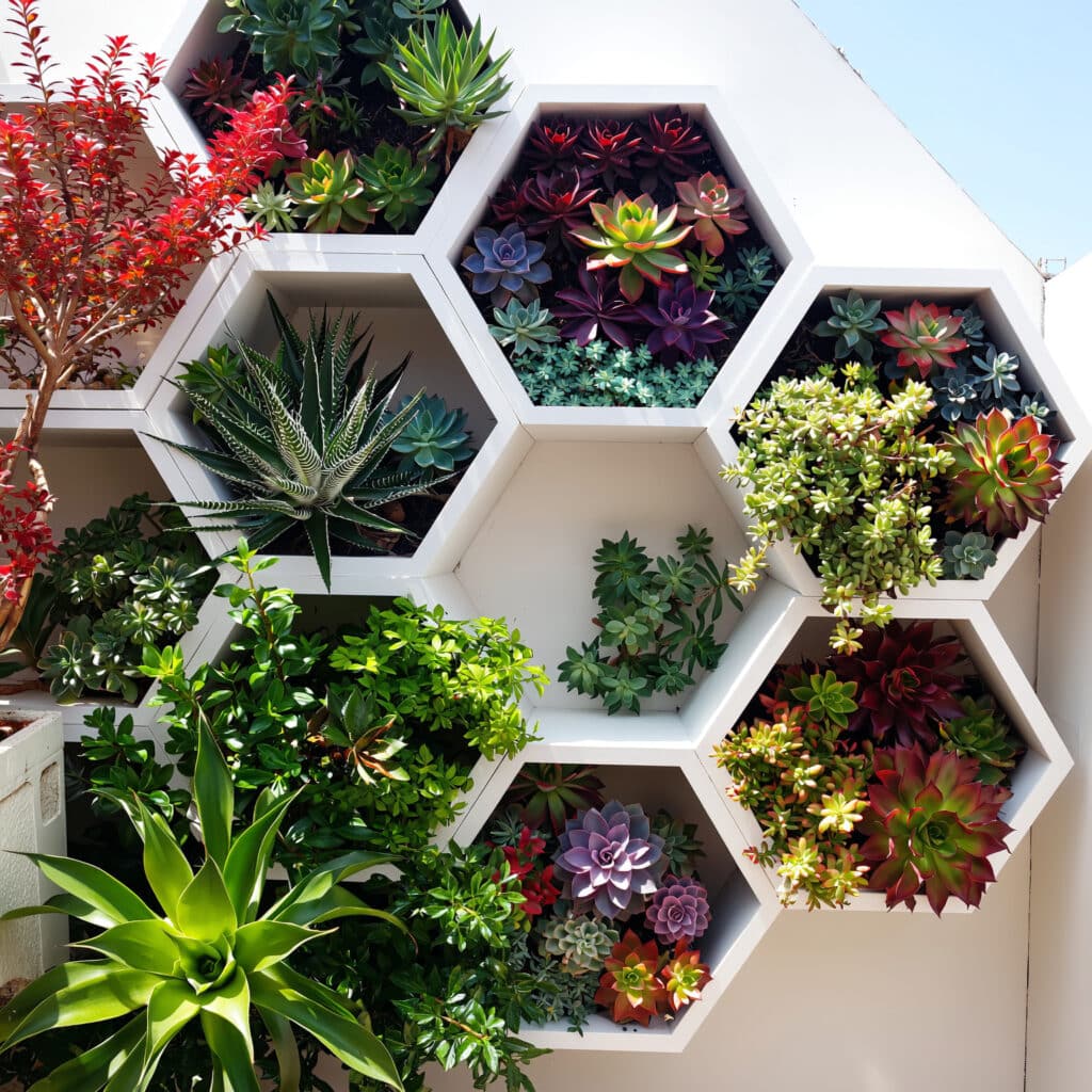 Jardim vertical moderno com suculentas em formato geométrico