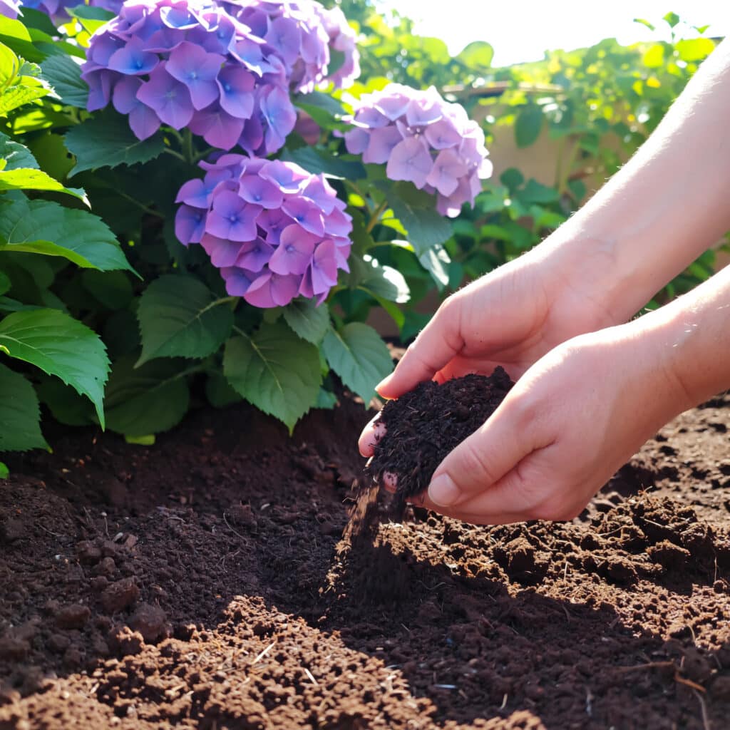 Adubação natural para plantas que florescem na primavera