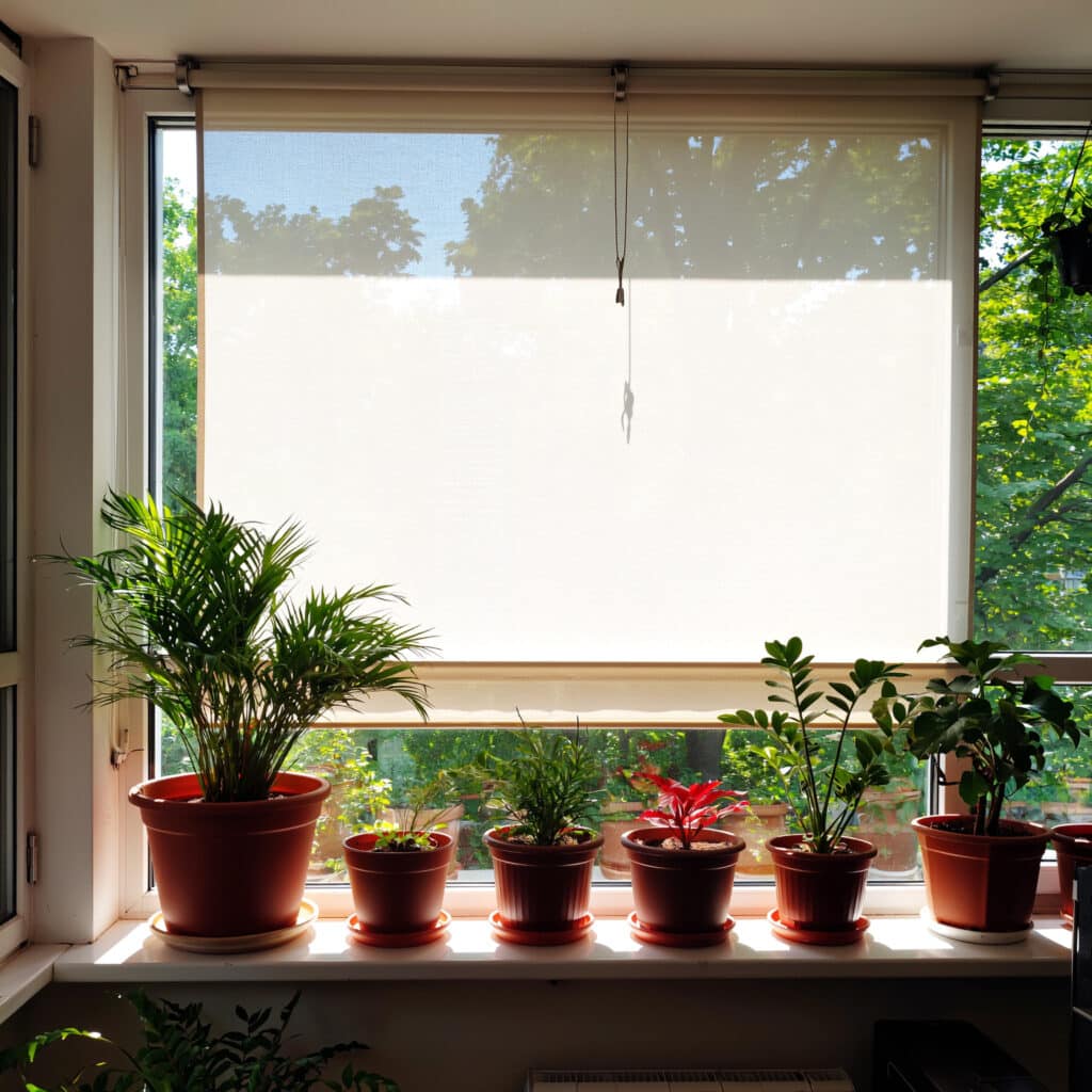 Sombreamento para proteger plantas do sol forte