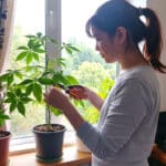 Mulher analisando planta antes da poda